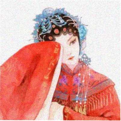 拾贝汉化组头像